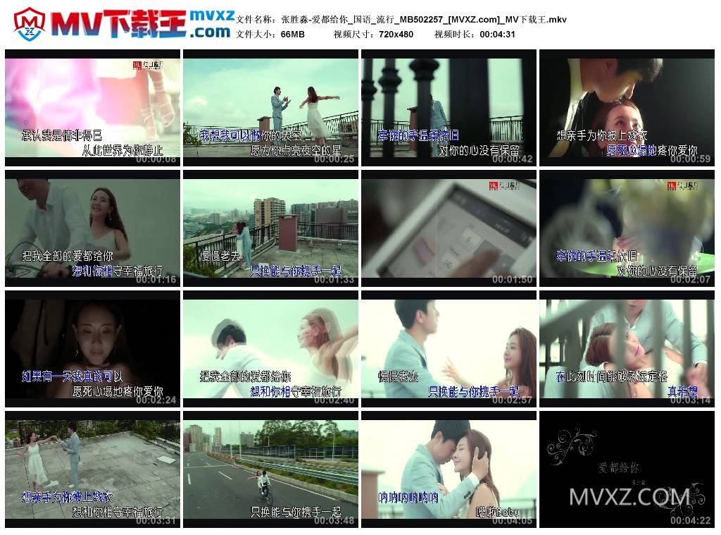 张胜淼-爱都给你_国语_流行_MB502257